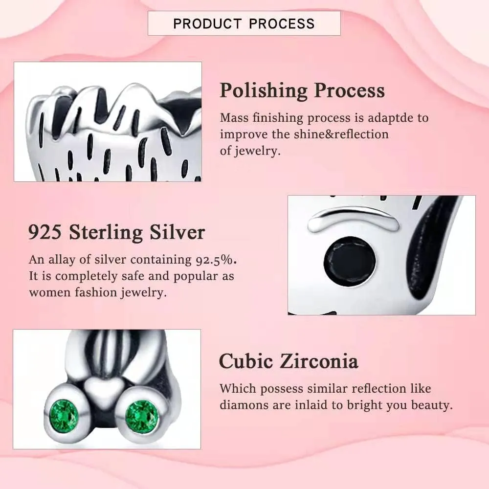 925 Sterling Silver Charms for Bracelets Necklaces Dangle Pendant With 5A Cubic Zirconias Bead Charm for Women DIY Jewelry