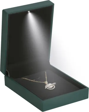 LED Light Pendant Necklace Gift Box, Velvet Jewelry Storage Display Case for Proposal Engagement Wedding Anniversary Birthday Valentine's Day (Green)
