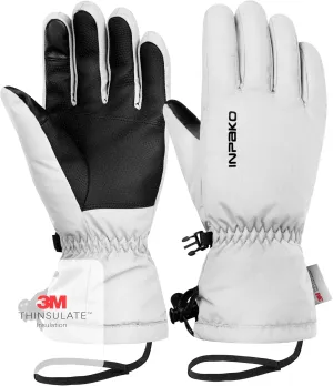Ski Gloves Men & Women Waterproof 3M Thinsulate Winter Touchscreen Snow Gloves for Snowboard